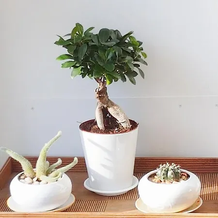 Διαμέρισμα Vivienda Turistico Erreka Mundaka