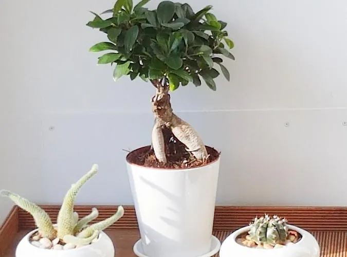 Apartment Vivienda Turistico Erreka Mundaka